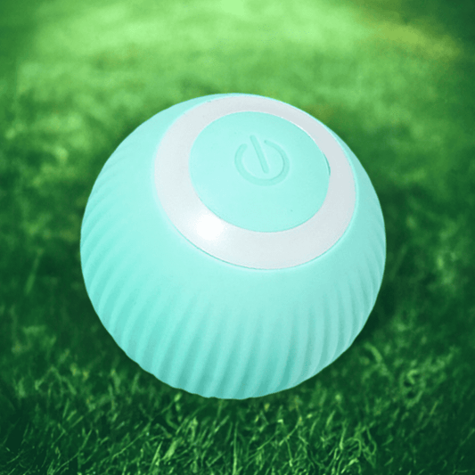Smart Interactive Pet Ball